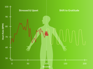 Heart Rate Variability Chart