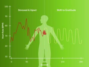 HRV Chart